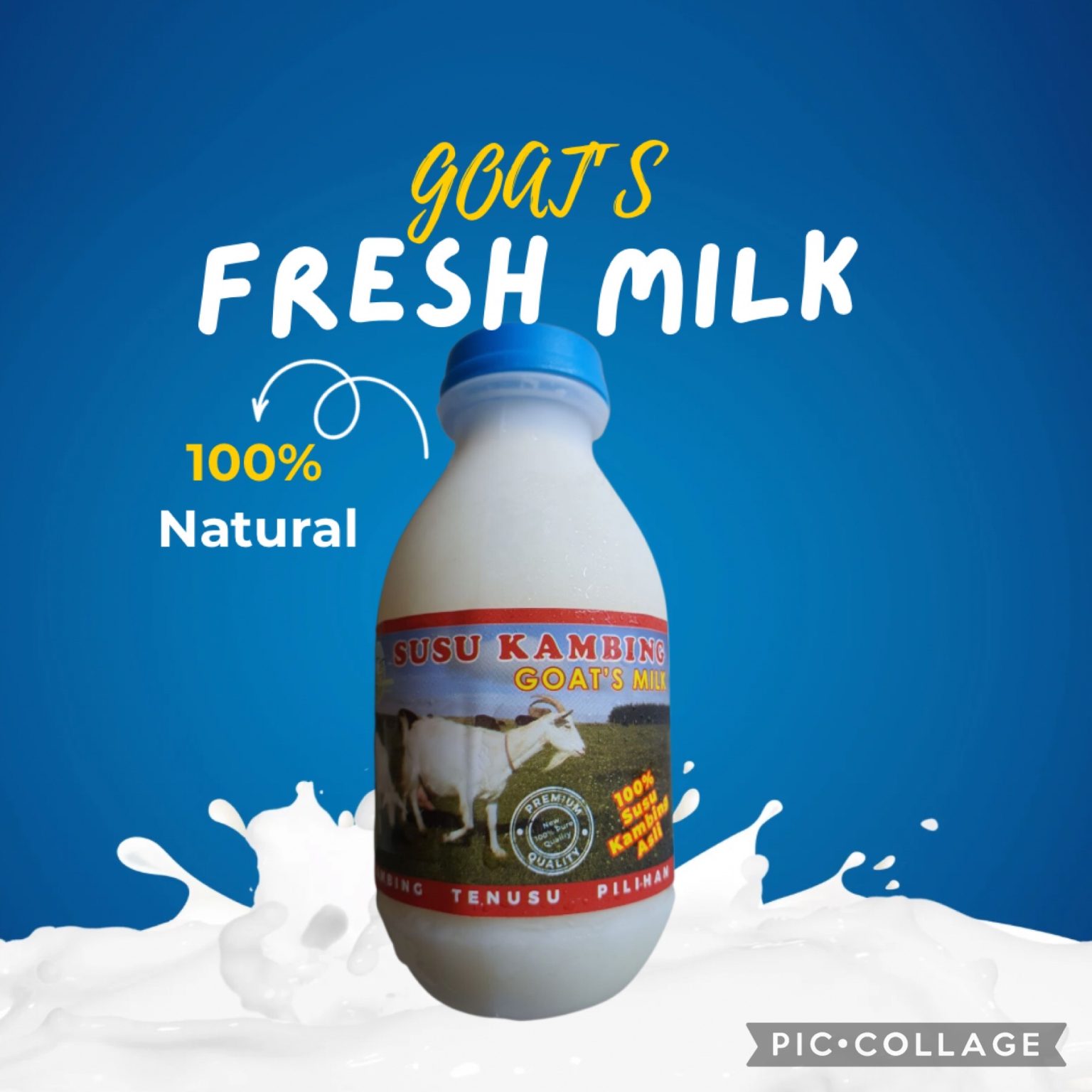 Original Goat Milk - Kempas Goat Farm: Fresh Goat Milk Products